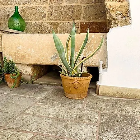 Nonna Veronica, Dimora Vicino Al Mare Di Ugento فندق مبيت وإفطار Gemini (Apulia)