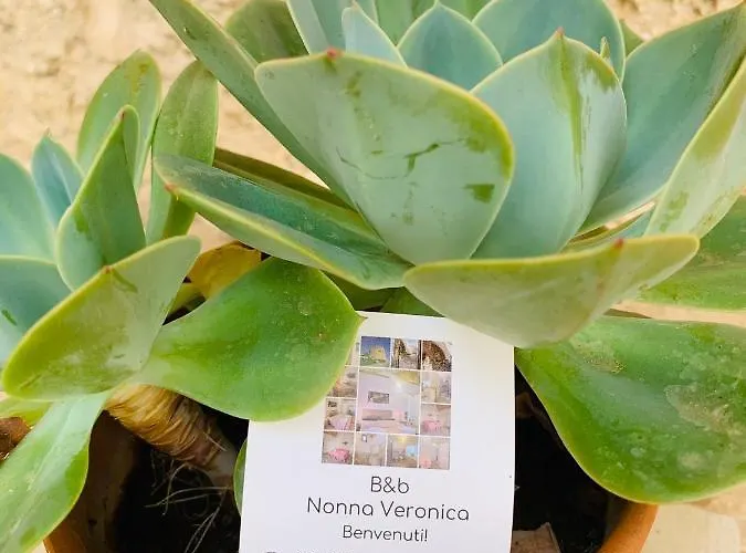 Nonna Veronica, Vicino Al Mare Di Ugento 住宿加早餐酒店 Gemini (Apulia)