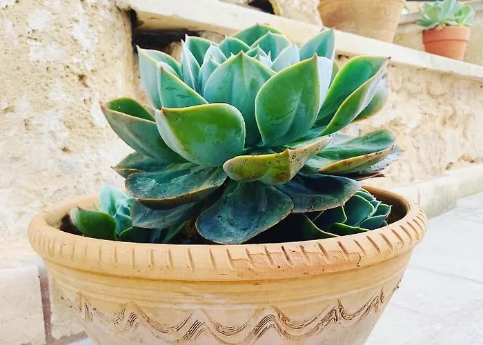 Nonna Veronica, Vicino Al Mare Di Ugento Gemini (Apulia)